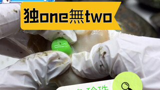 One of a kind, broccoli pearl clam