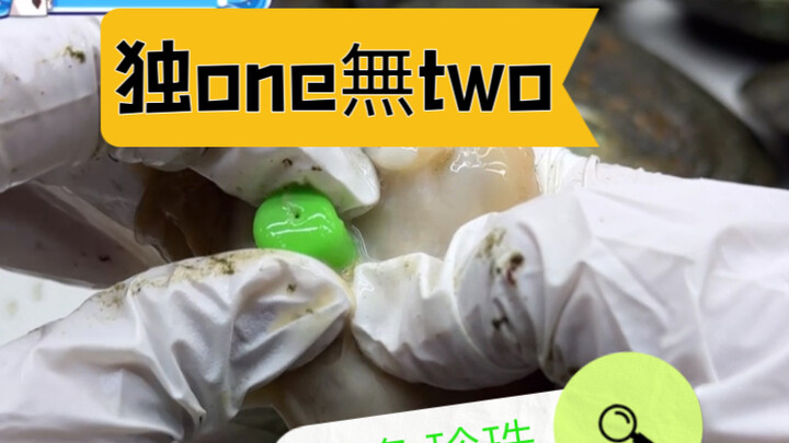 Satu-satunya tanpa dua, kerang mutiara brokoli