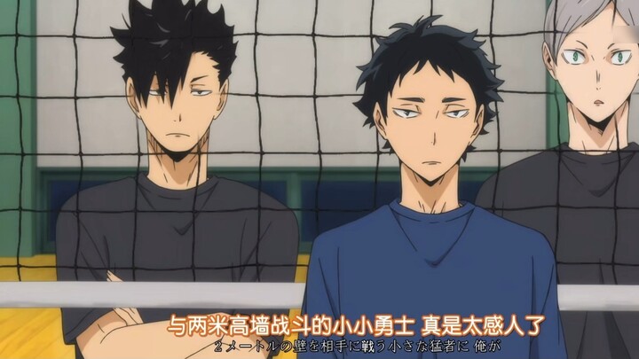 Welcome to watch the daily life of the owl couple