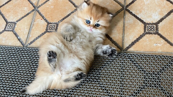 One pulls another to eat—looks like my family is becoming self-sufficient!