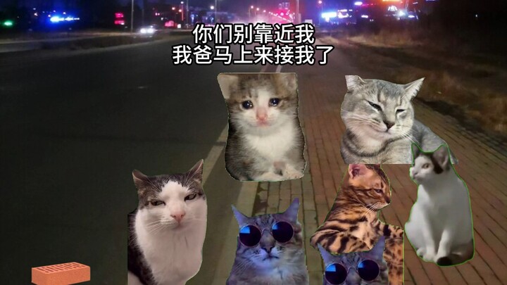 Ayah: Kasih sayang ayah begitu besar, rekam jejaknya bisa dicek.