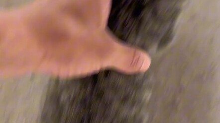 عثرتُ على قطة على السطح ولا أعرف ماذا أفعل #قطط #التقاط_قطة