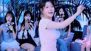Panda Class KBJTV Korea #8
