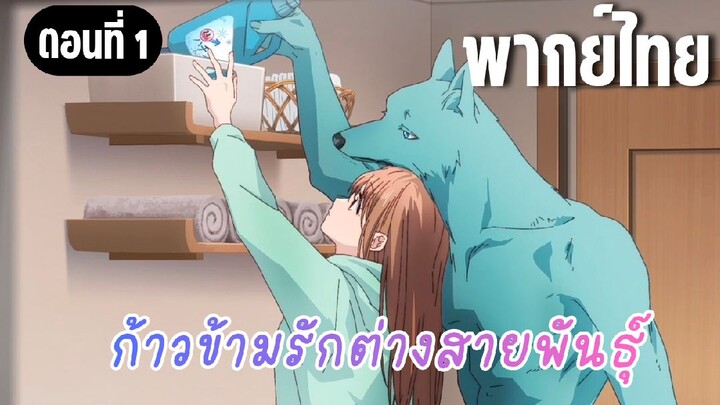 ก้าวข้ามรักต่างสายพันธุ์ [พากย์ไทย]  อาการใจเต้นนี้มันคืออะไรกัน?