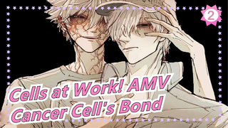 [Cells at Work! AMV] Cancer Cell's Bond_2