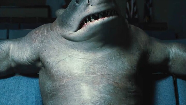 Trải nghiệm nuôi một ông vua cá mập vừa ngu ngốc lại vừa ham ăn là như thế nào?