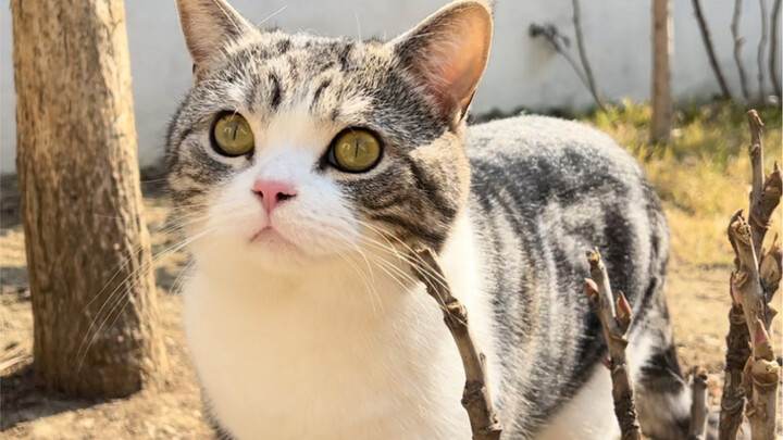 Saved hundreds today—looks like I can splurge on big crabs again in a couple of days 😊