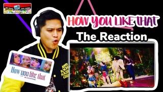 BLACKPINK HOW YOU LIKE THAT M/V  BEST REACTION