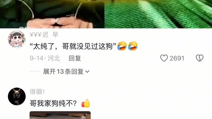 You’re way too innocent—man, I’ve never seen a dog this clueless.