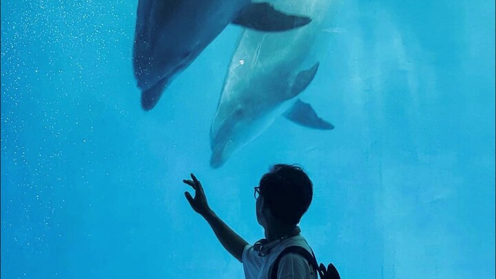 Chụp ở thủy cung mùa hè thế này đúng là đậm chất không khí quá!