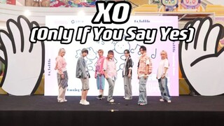 【ENHYPEN】被符翻牌啦！向恩静们告白啦！新歌真的太上头了！ENHYPEN最新回归曲xo超齐翻跳