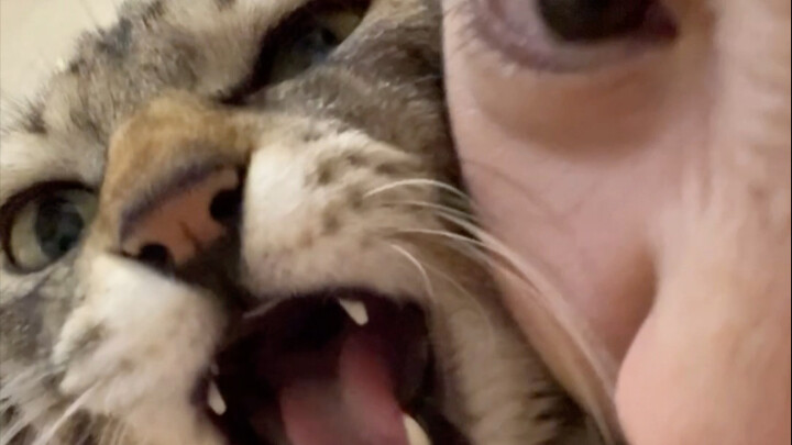 Akhirnya paham kenapa orang dewasa suka menggoda anak-anak seperti ini～