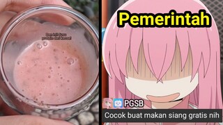 Susu kecoa