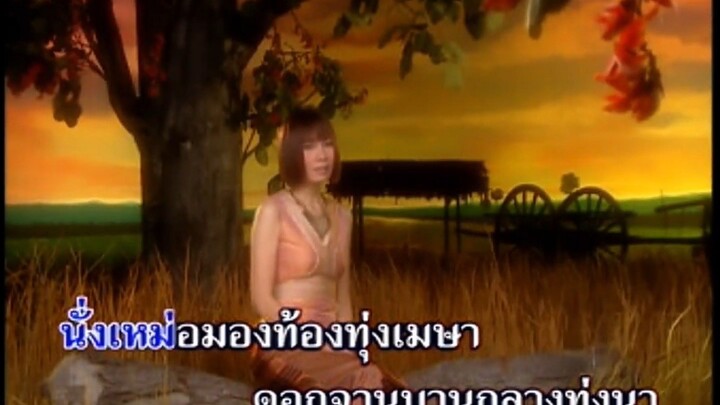 สาวทุ่งดอกจาน จินตหรา พูนลาภ MV Karaoke