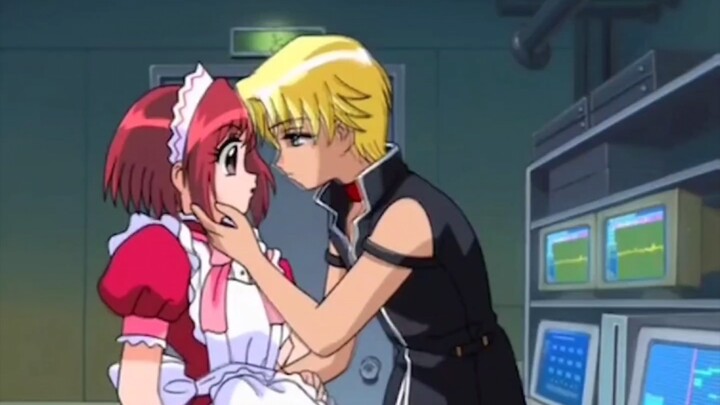 【Tokyo Cat Cat】Peach Palace Berry CP Mixed Cut