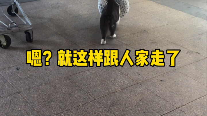 Đi mà không ngoảnh lại