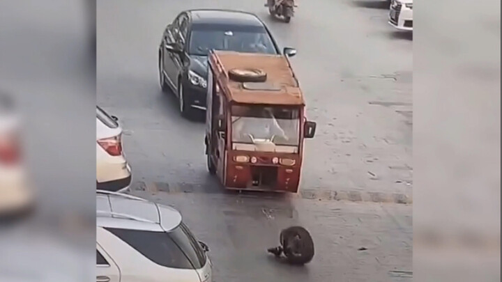 Video Lucu (Tindakan Membingungkan)