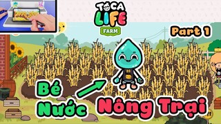 Cùng Bé Nước tham quan nông trại Toca Farm và học trồng lúa siêu thú vị