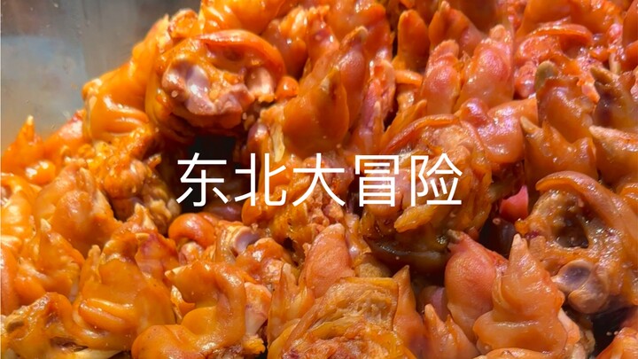 "Northeast Adventure 2.0"