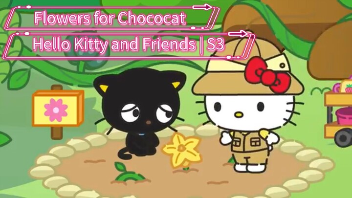 Hello Kitty and Friends | Supercute Adventures (S3: Episode 6) Flowers for Chococat