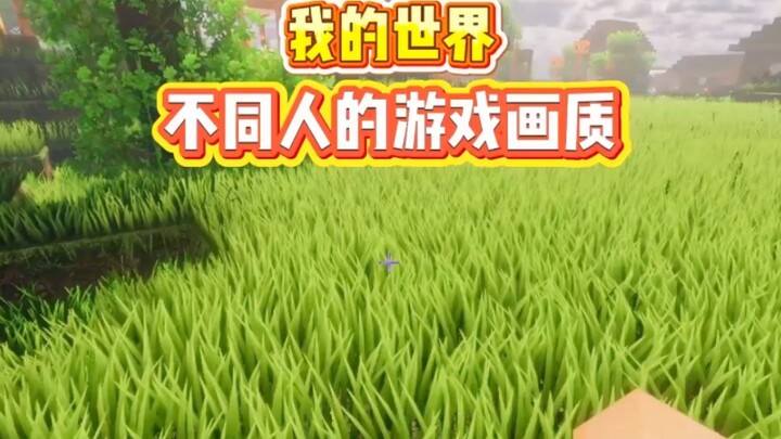 Minecraft: A Roundup of Different Players’ Game Graphics Settings