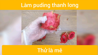Làm puding thanh long #monngon