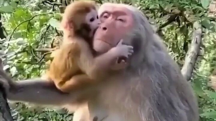 Mom doesn’t even have any pockets—how am I supposed to buy you anything?