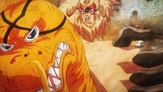 Chopper Vs Queen | One Piece 1023