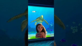 TURTLE FROM MOANA | Turtle talk with crush 😃