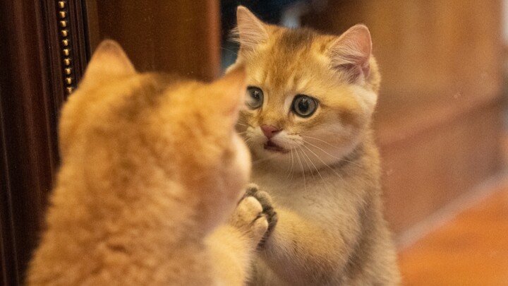 完了，给孩子童年留下阴影了哈哈哈哈