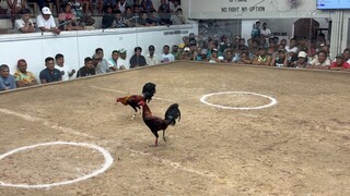 2 Hits ulutan; Big time nakalaban first fight