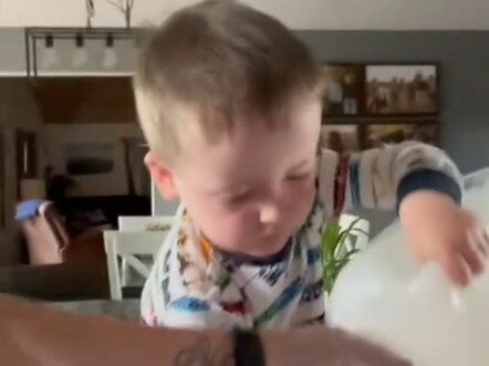 人类幼崽迷惑行为……