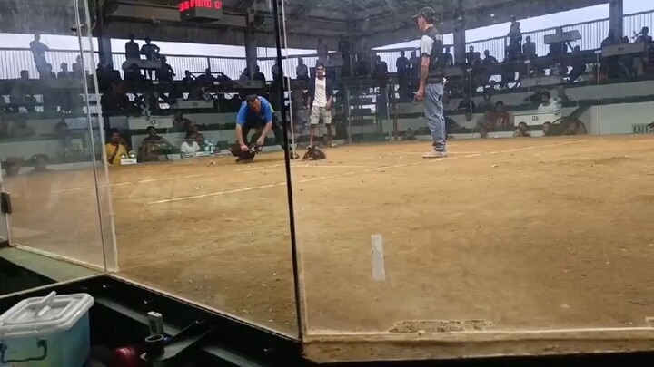 Win Super Lemon Mt.Banahaw line @ San Carlos Palawan