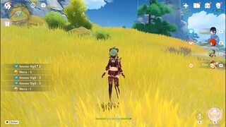 Kuki Shinobu in private server genshin impact