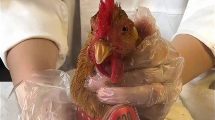 Trời nóng thế này mà không có cảm giác ngon miệng thì phải làm sao? “Trộn nguội” thôi!