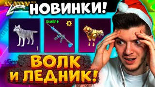 🥶ВЫБИЛ ВОЛКА и СКИН! M416 ЛЕДНИК С ПОВЫШЕННЫМ ШАНСОМ В ПУБГ МОБАЙЛ / PUBG MOBILE