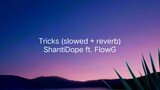 Shanti Dope ft. FlowG - Tricks (slowed + reverb) [Lyrics]