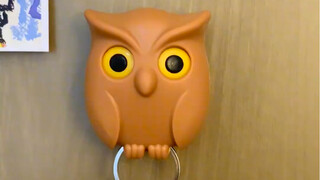 可是他真的很有趣诶