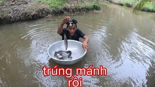 Trúng Mánh Bữa Nay Rồi GiĂng Câu Dính Ngây Ổ Cá Trê