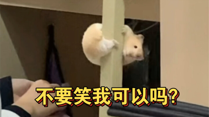 I told you, don’t pinch your butt!