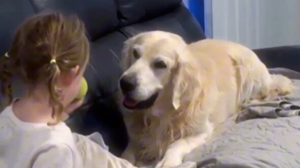 Comfort Dog: I can still be with you for a very, very long time.