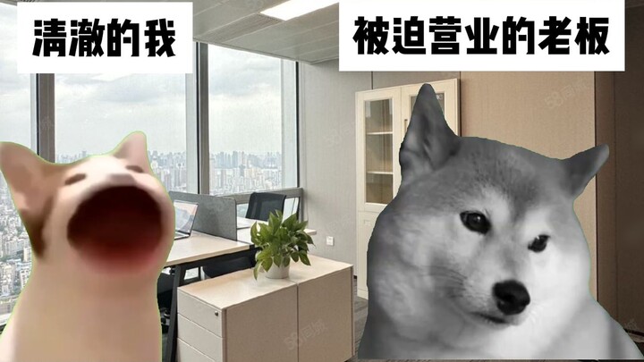 [Cat meme] Về việc ông chủ người Đức của tôi phải lòng trang web nhỏ bị hỏng