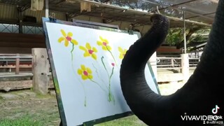 น้องสุดา