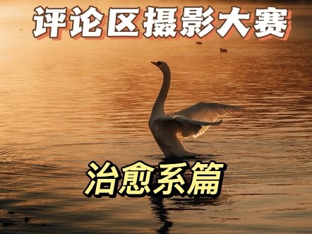 The “Aesthetic Enhancement” edition of the Comment Section Photo Contest is now live! We’ll be revie