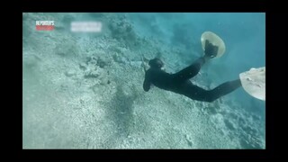 Maraming corals, patay na sa Escoda Shoal, ayon sa pag-aaral! | Reporter’s Notebook