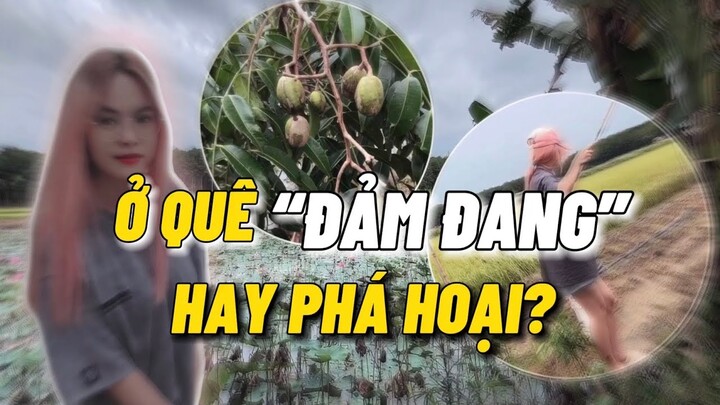 Vlog | Một Ngày Ra Đồng Của Yến Nhi Sẽ Như Thế Nào?