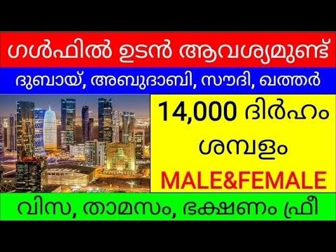 gulf  jobs Malayalam/gulf job vacancy 2022 malayalam/ Dubai jobs/Saudi jobs/Qatar jobs/Abudhabi jobs