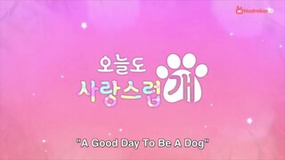 𝙰 𝙶𝚞𝚍 𝙳𝚊𝚒𝚒 𝚝𝚘 𝚋𝚎 𝚊' 𝙳𝚘𝚐 𝙴𝚙-1