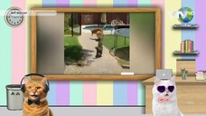 Live stream • shy Shy Cat ANTV • Alien Monkey ANTV • [ VTV HD ] • 21092025 • [ YouTV Feed ]