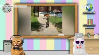 Live stream • shy Shy Cat ANTV • Alien Monkey ANTV • [ VTV HD ] • 21092025 • [ YouTV Feed ]